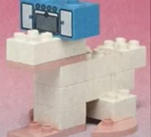 2551 – Back B