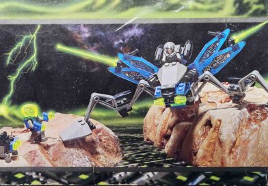 6905 – Back D